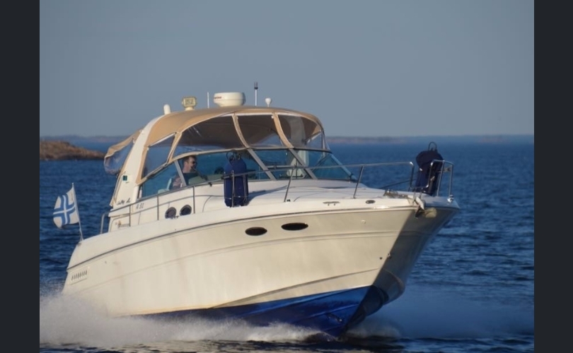Sea Ray 310-kuva-12